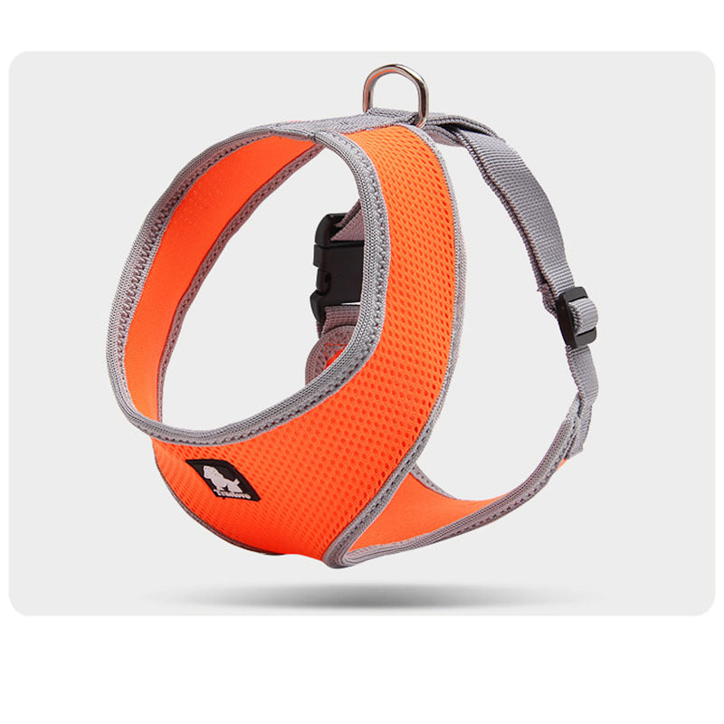 Towing rope for small dogs