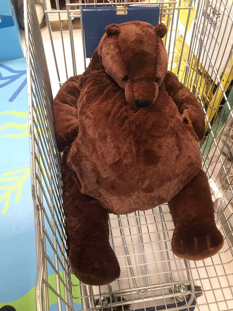 Bear Plush Toy Baby Sleeps With Soothing Doll Photo Background