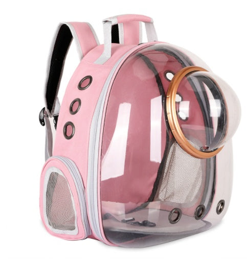 Going Out Cat Carrying Bag Supplies Box School Dog Backpack