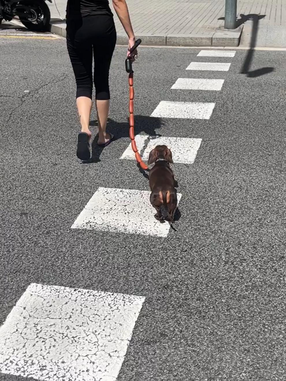 Dog Traction Chain Big Sausages Traction Rope Thick Funny Pet Traction Belt For Small Medium Pet Accessories Dog Leads String