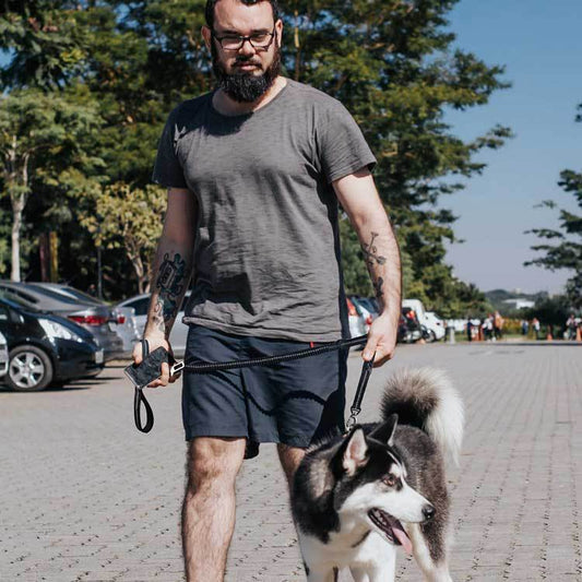 Car Traction Dog Leash Can Go Out Dog Walking Artifact