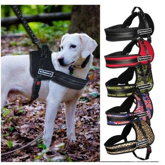 Pet medium and large dog chest strap