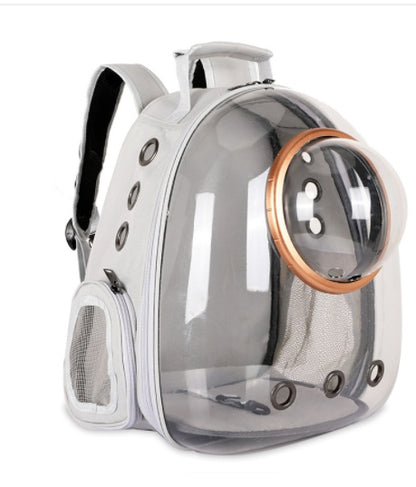 Going Out Cat Carrying Bag Supplies Box  School  Dog Backpack