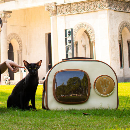 Large Capacity Trolley Cat Bag For Going Out
