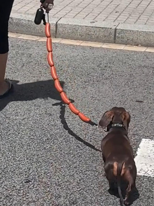 Dog Traction Chain Big Sausages Traction Rope Thick Funny Pet Traction Belt For Small Medium Pet Accessories Dog Leads String